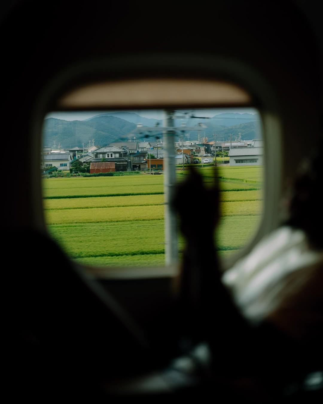 AA, 玩京都的照, 八村垒In