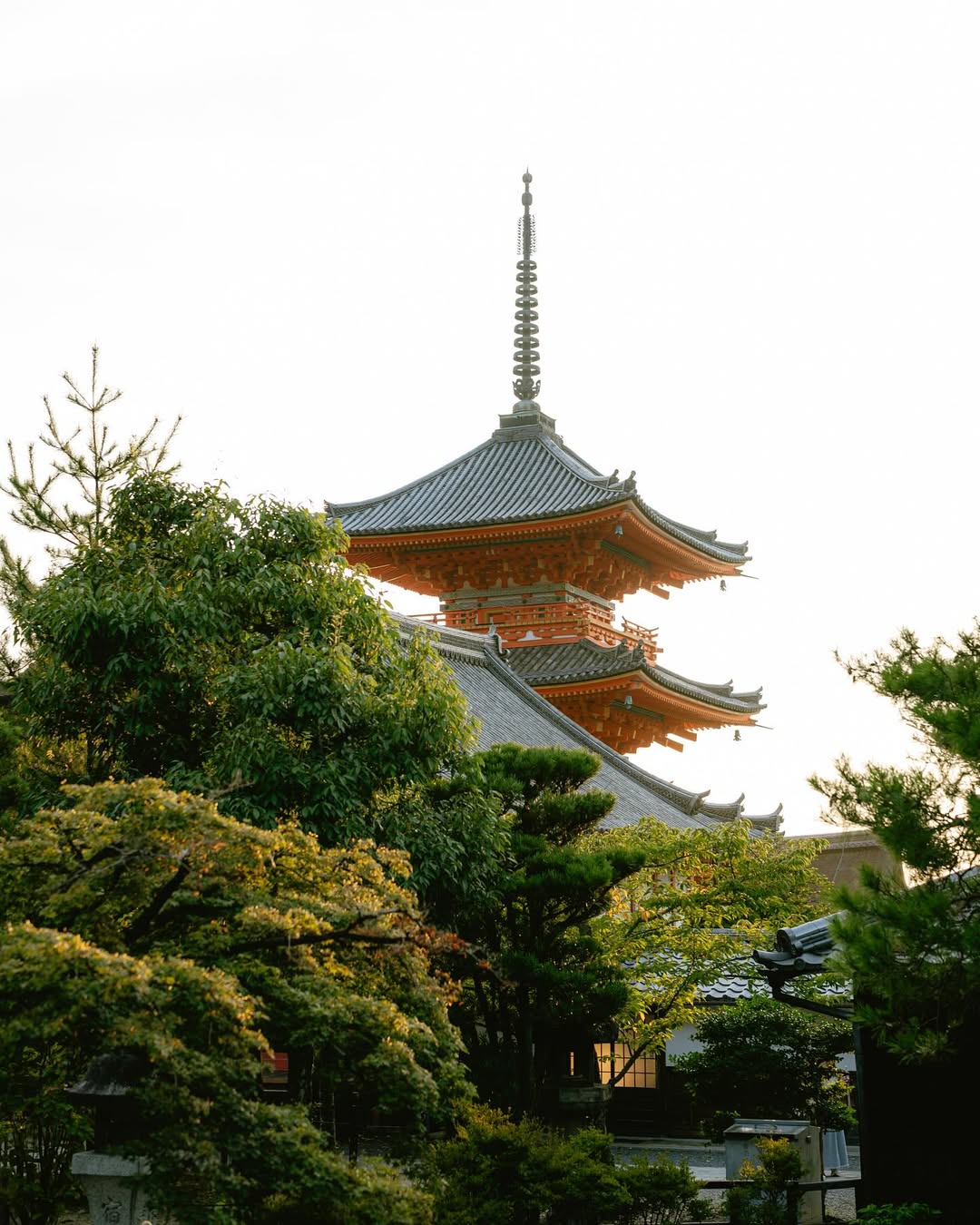 八村垒In, div, img